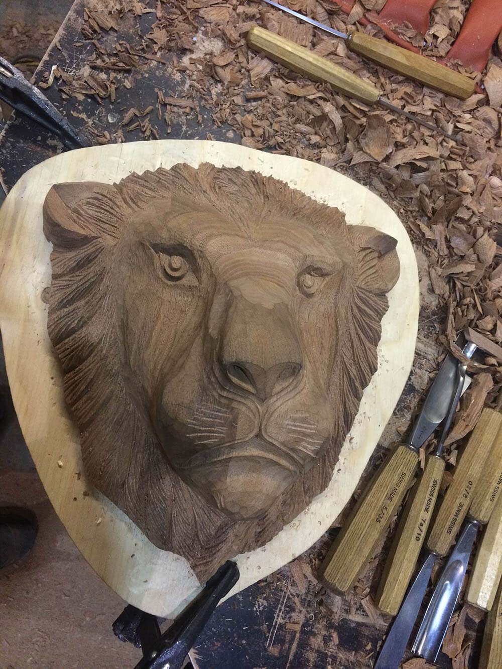 Lion head (1)